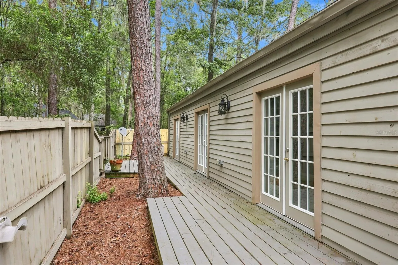 Back yard