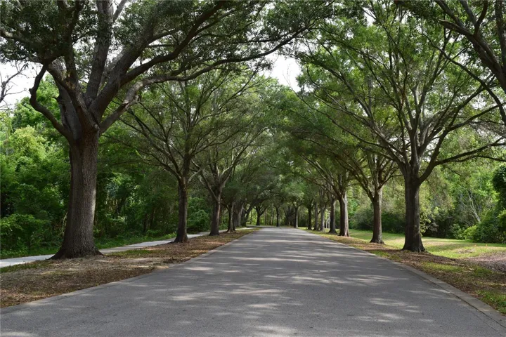 Sawgrass Lake Park, about a 3 minute drive or a short walk