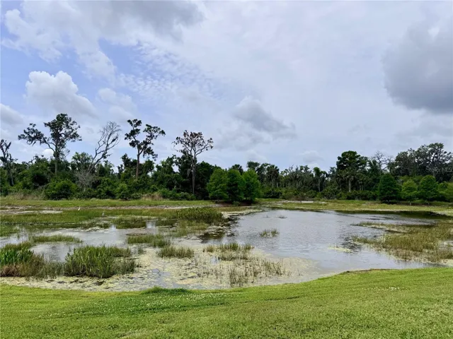Twin Rivers Preserve