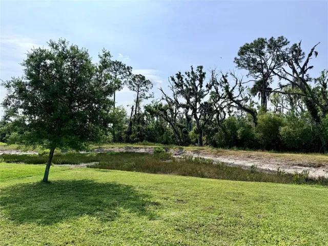 Wooded view from back porch