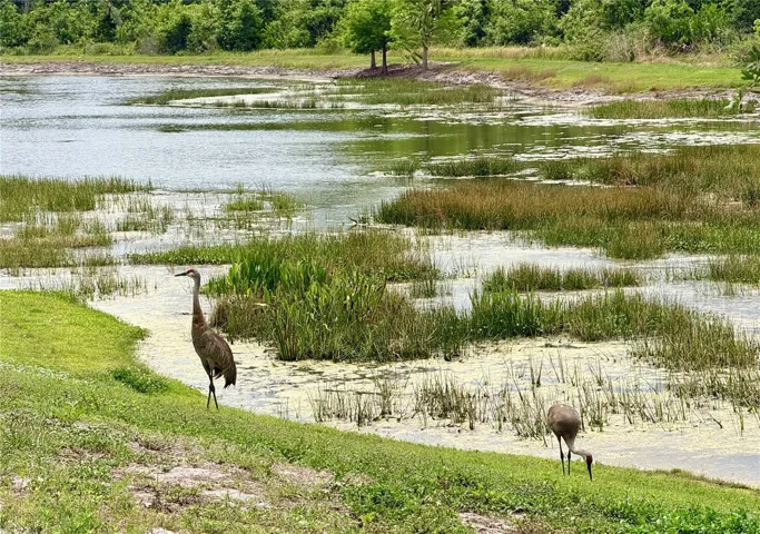 Twin Rivers Wildlife