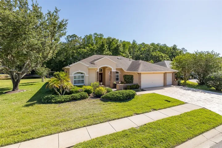 EXPRESSIVE CORNER LOT