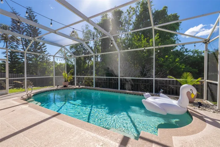 Private Pool & Backyard