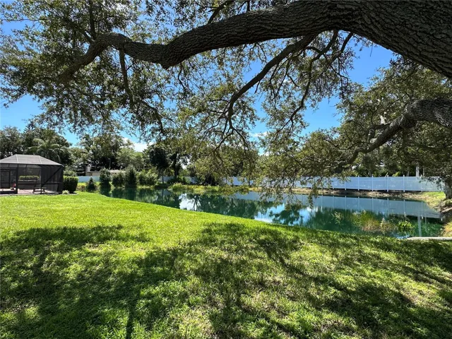 Backyard pond view