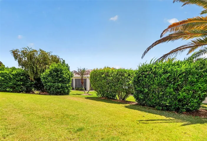 Rear PRIVACY Landscaping