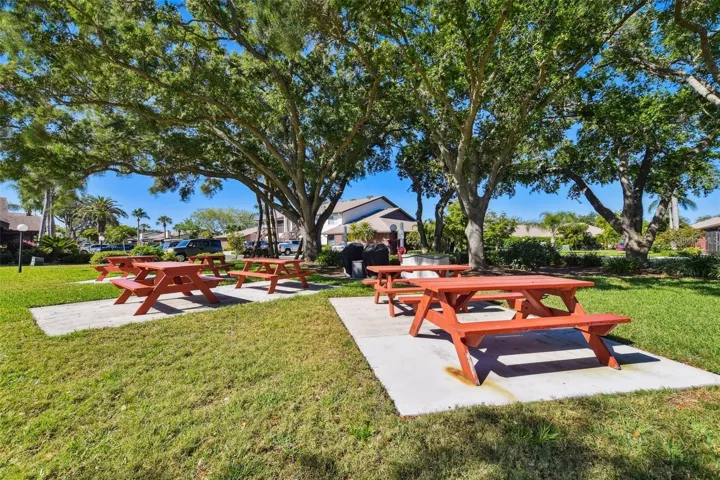 Outdoor picnic and grilling area