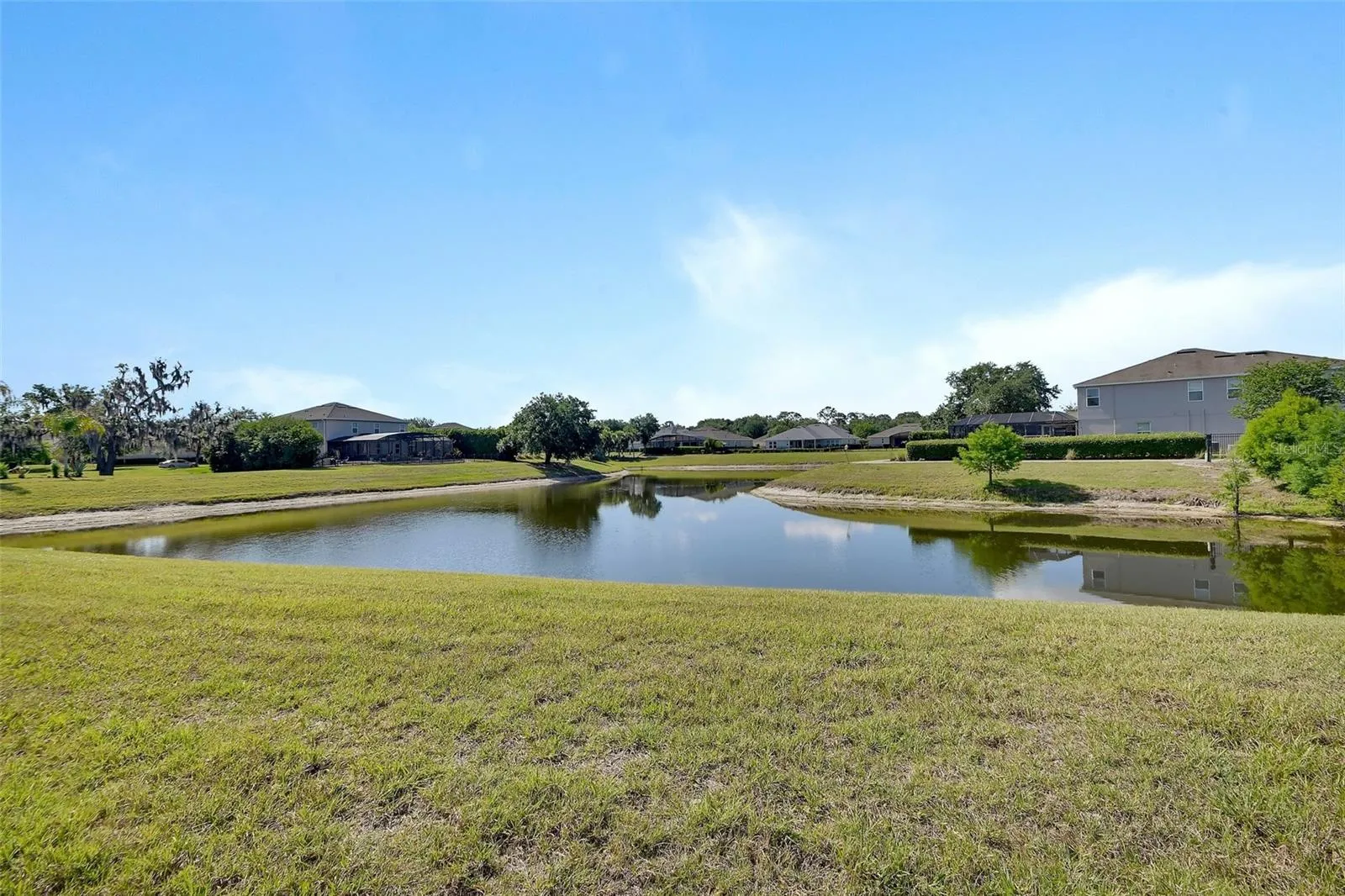 Pond view from home
