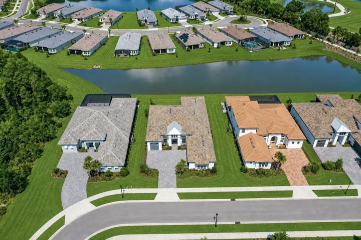 BIRD VIEW