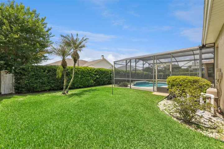 Back Yard and Pool