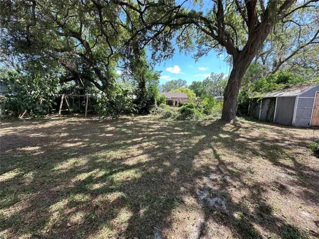 Back Yard