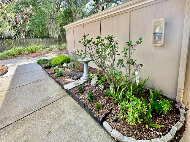 Exit from front door. Current owner has planted plants there for years.