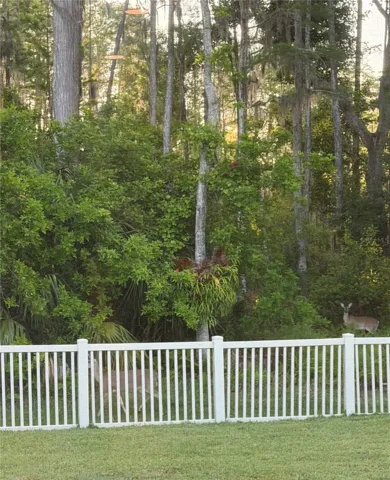 Deer in your backyard!