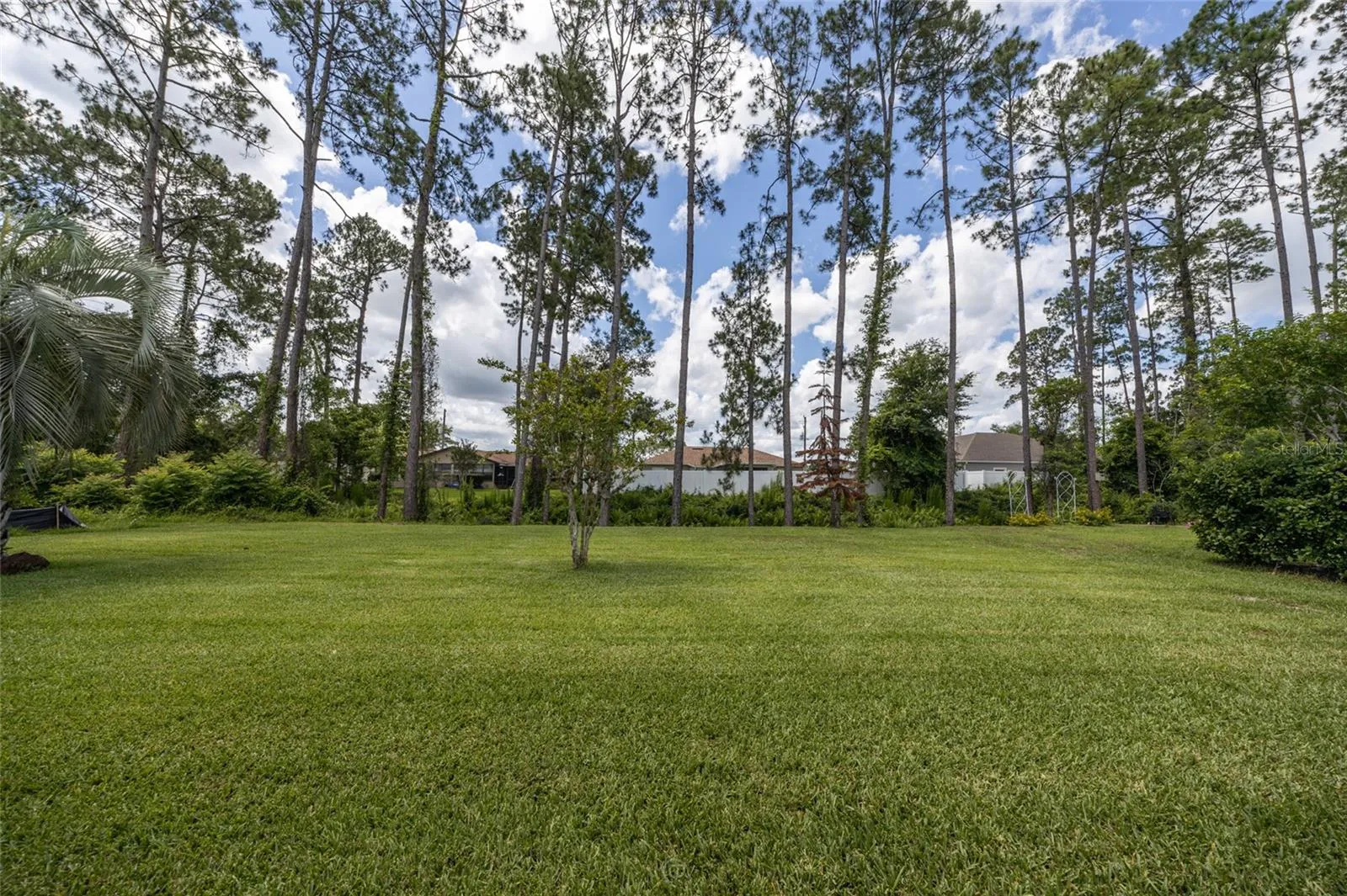 Fabulous back yard with 60' wide privacy buffer at the rear
