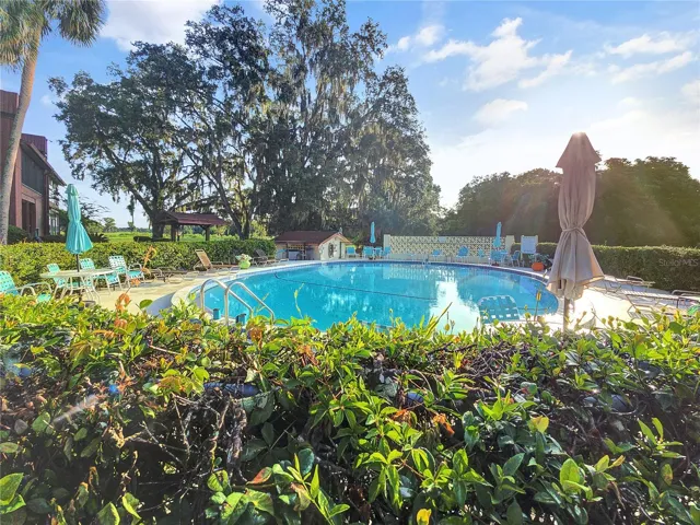 Community Pool