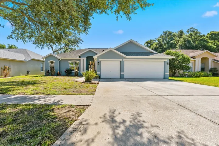 Welcome home to 1115 Lumsden Trace Cir in Valrico