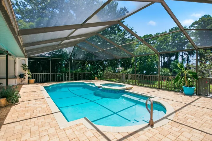 Pool, Spa and Backyard