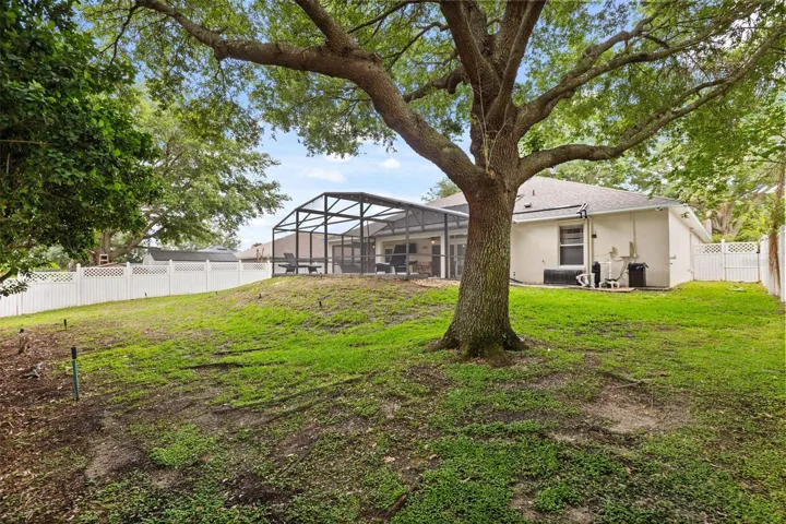 Fenced Yard