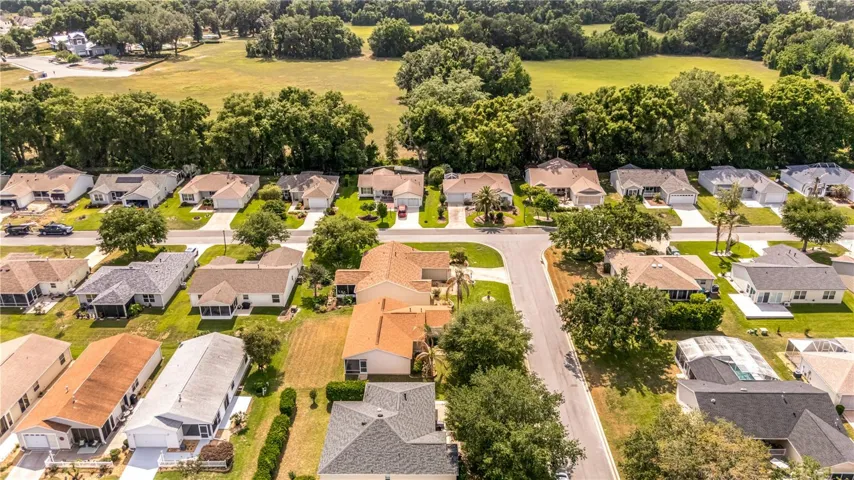 Drone Neighborhooe
