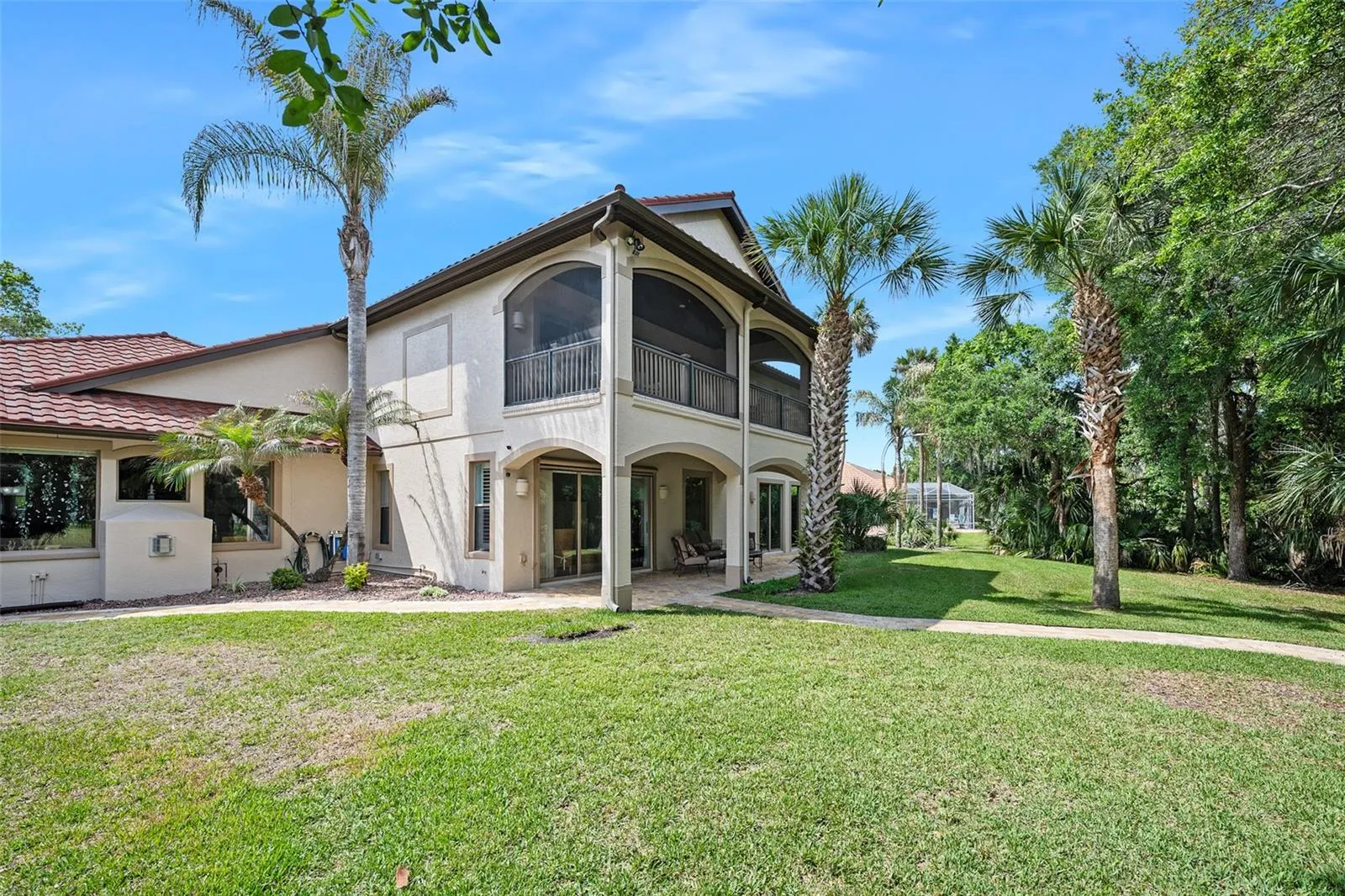 Big backyard
