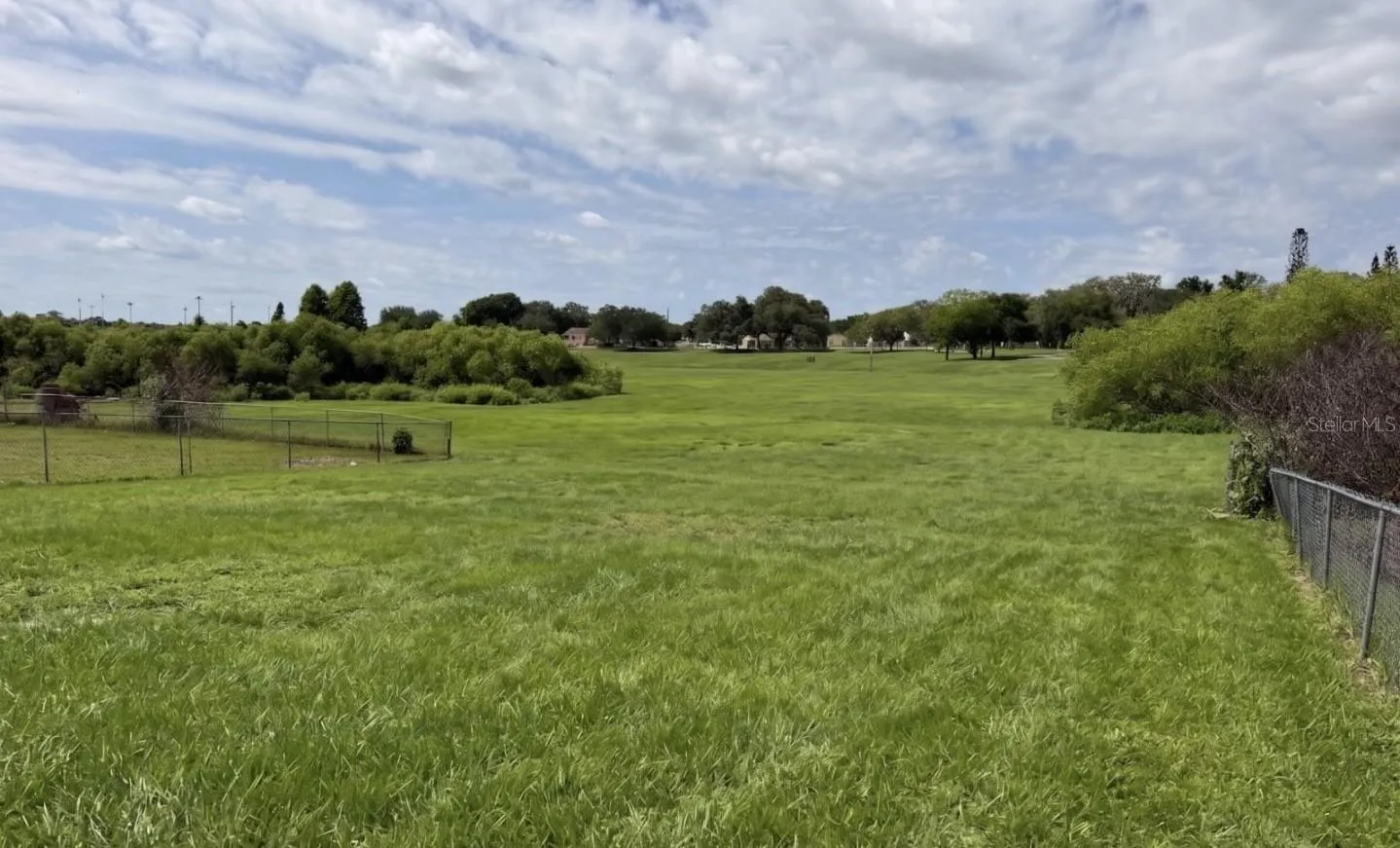 Backyard-virtual grass