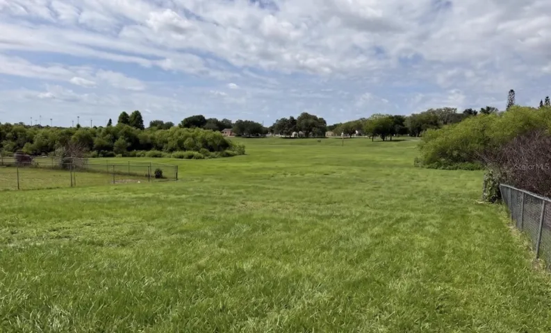 Backyard-virtual grass