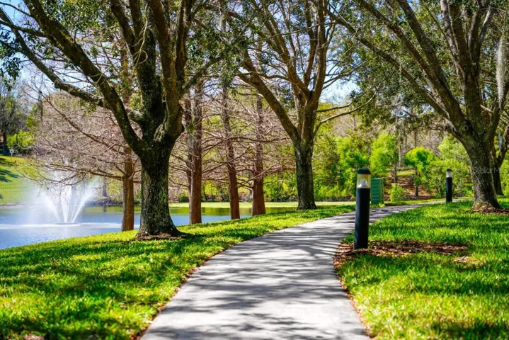 Picturesque Surroundings