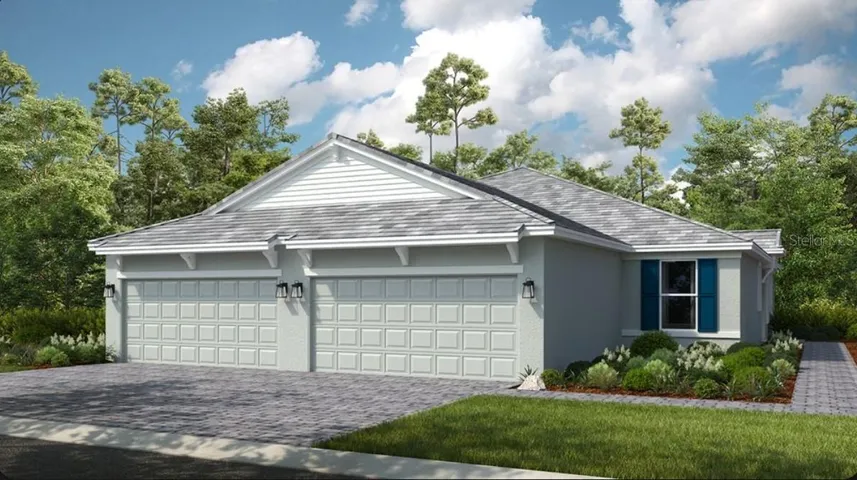 Ibis Rendering