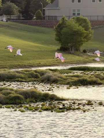 Beautiful nature to admire throughout the community