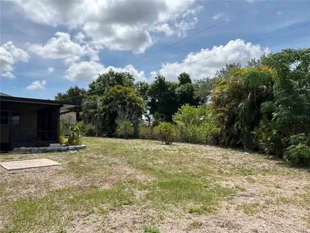 back yard