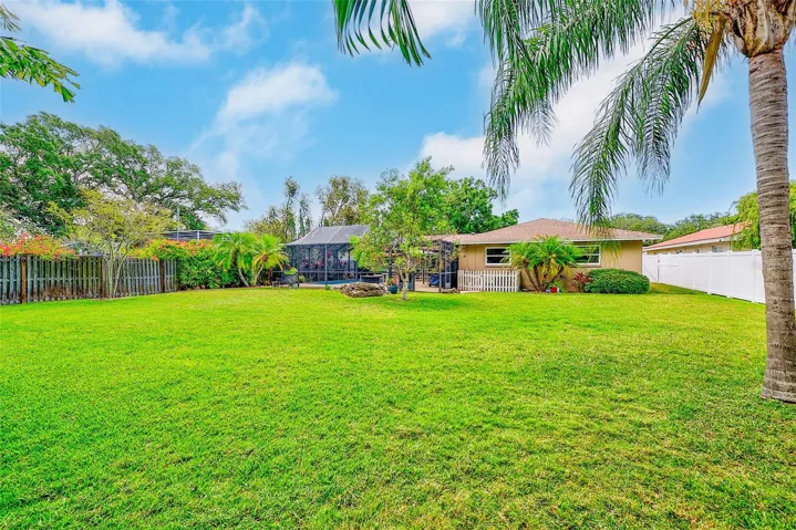 Large Backyard