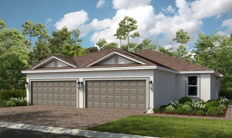 Ibis Rendering