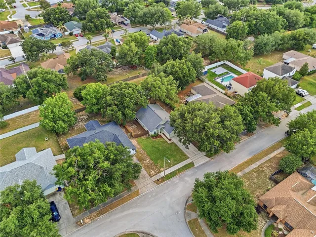 Aerial View of the Neighborhood