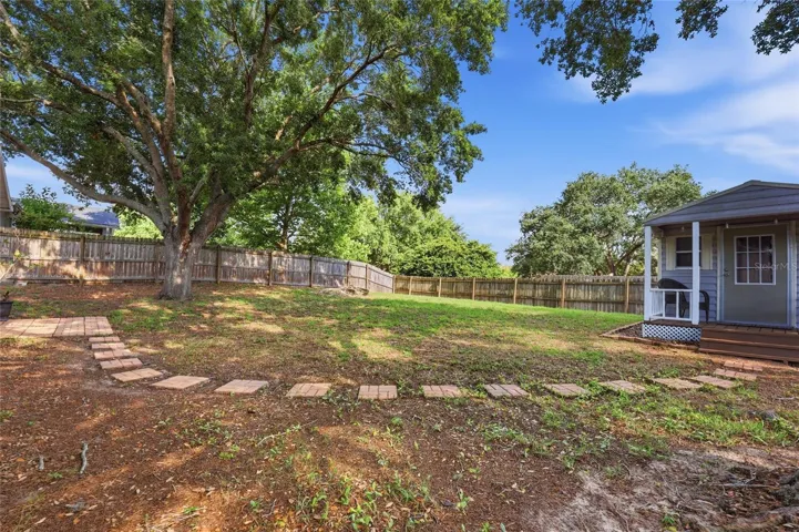 Backyard