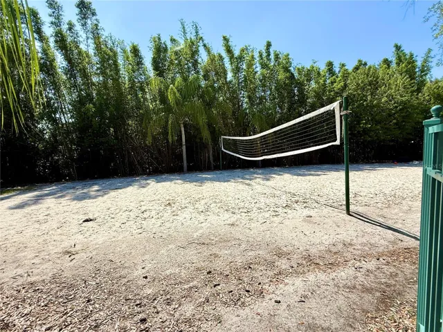 Volleyball court
