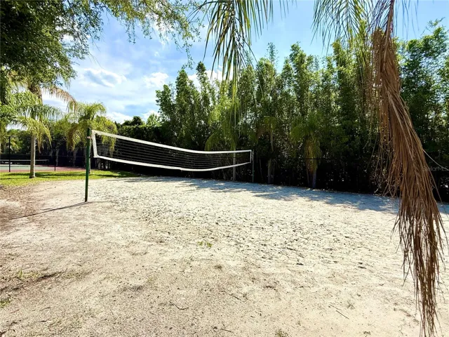 Volleyball court