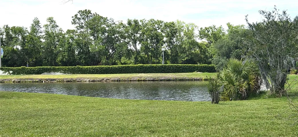 Pond view from pool lanai