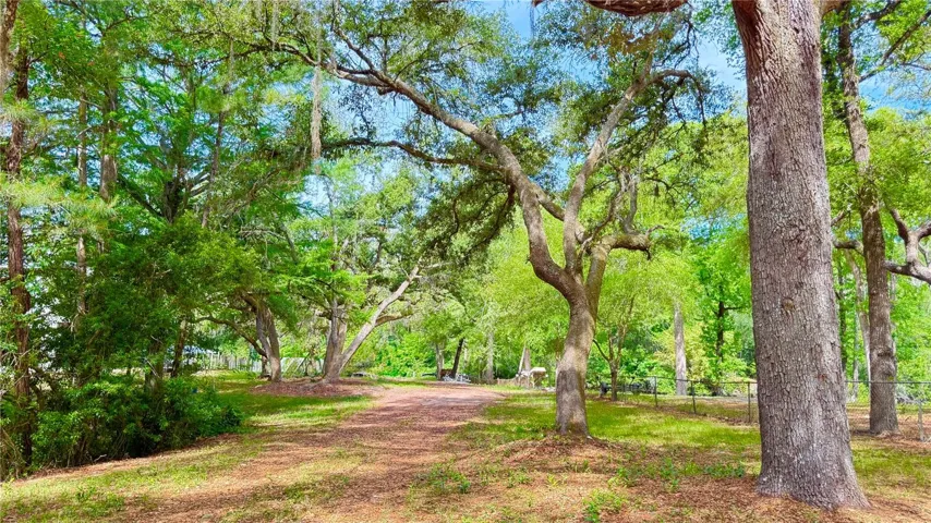 Gorgeous parcel with boat access to Deep Creek