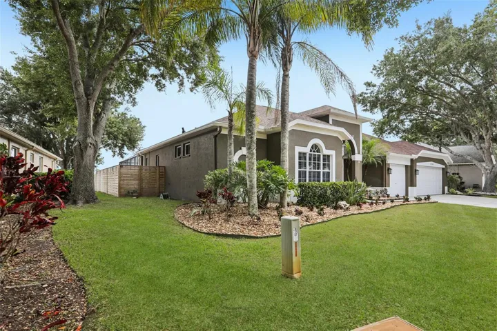 Sideview of Front Yard