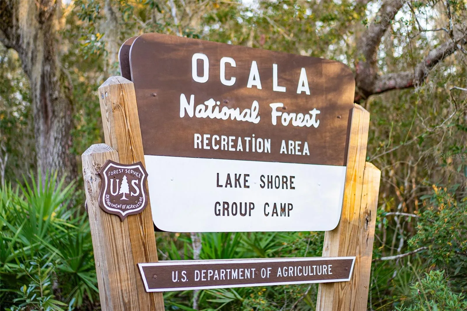 Rare Ocala National Forest inholding with unmatched seclusion