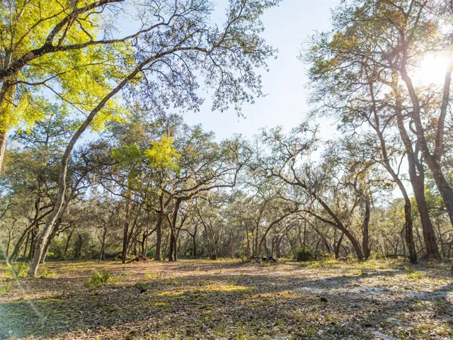Authentic Old Florida setting with eco-tourism and recreational appeal