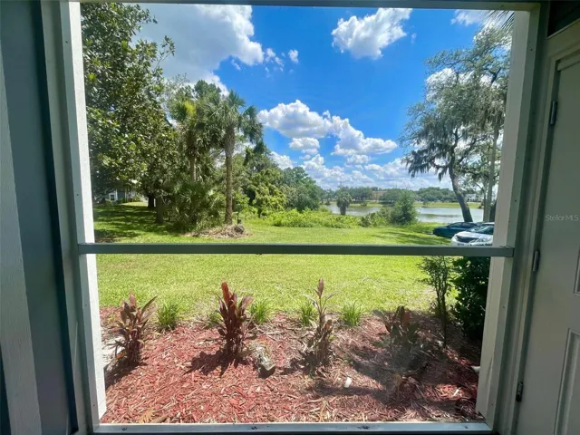View from porch