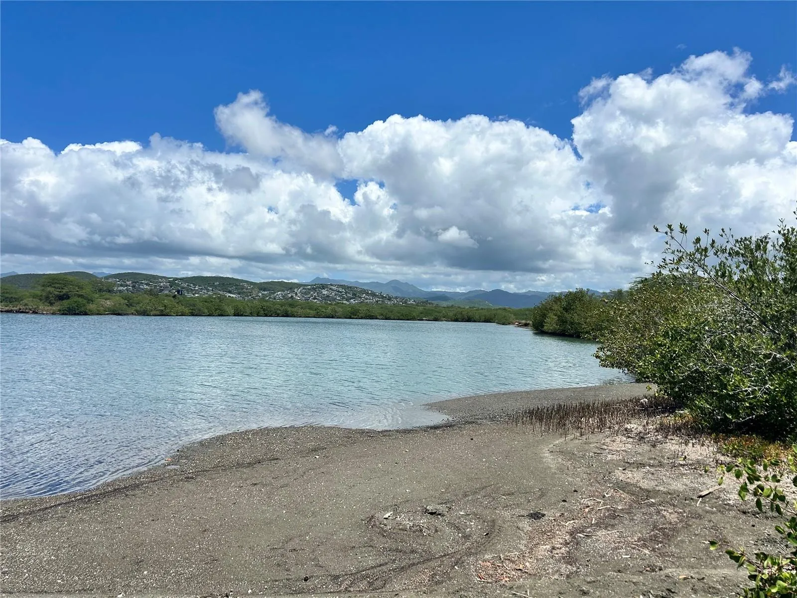 Dock area