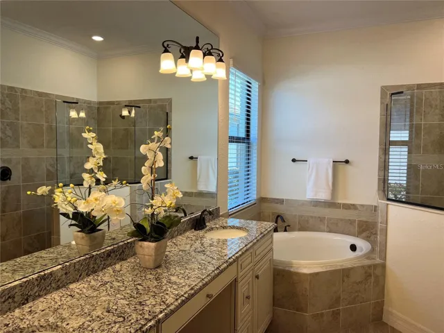 Tub and shower in Primary!