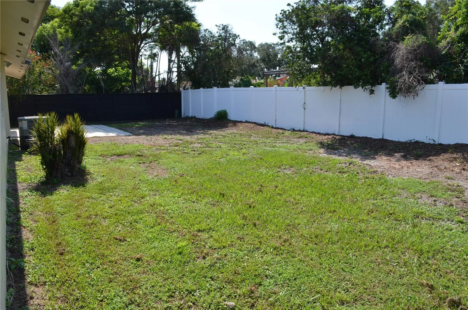 Backyard w/ Fence