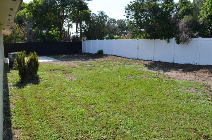 Backyard w/ Fence