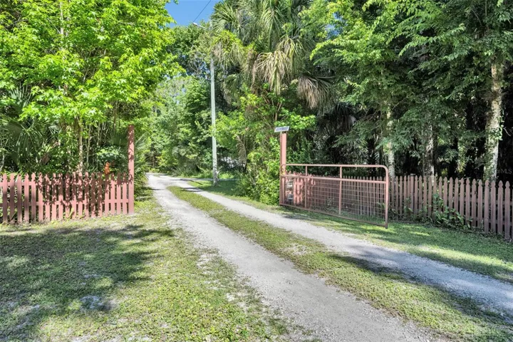 Driveway and Solar powered gate