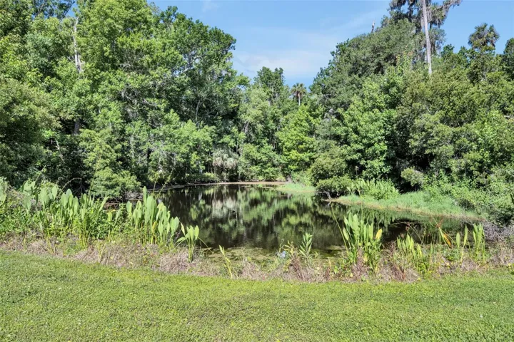 Pond