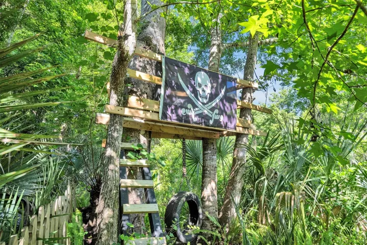 Treehouse next to pond