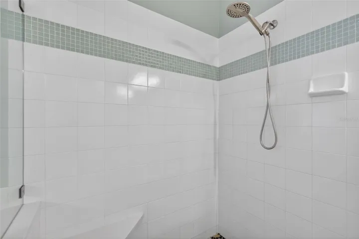 Master bath shower