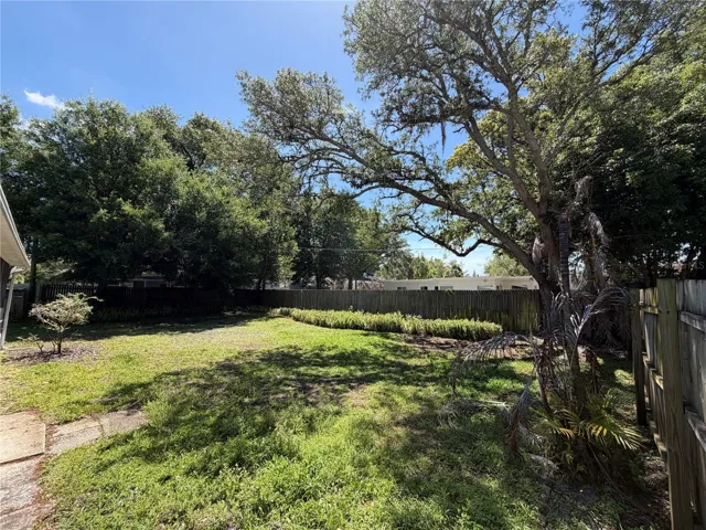 Back yard